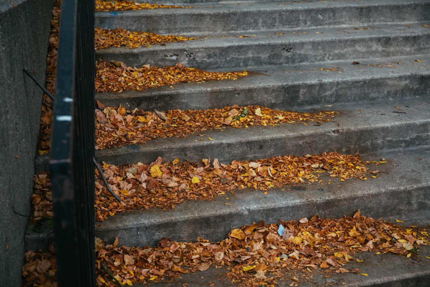 Special Cleaning in Brighton, Michigan